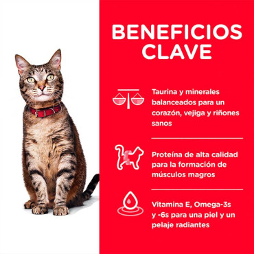 HILL´S SCIENCE DIET ADULT CHICKEN RECIPE FELINO