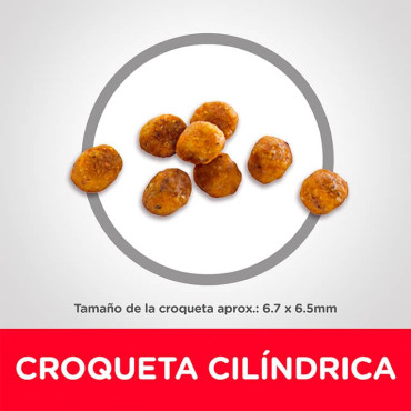 HILL´S SCIENCE DIET ADULT 7+ CHICKEN RECIPE FELINO