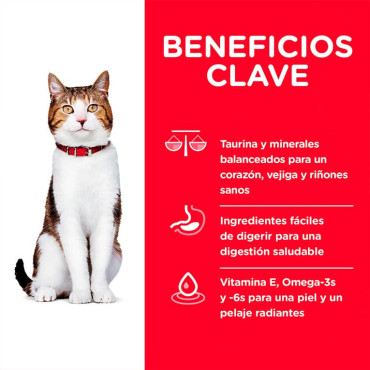 HILL´S SCIENCE DIET ADULT 7+ CHICKEN RECIPE FELINO