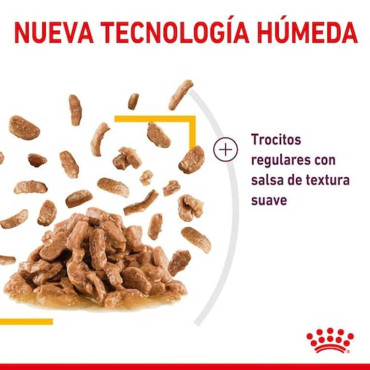ROYAL CANIN SENSORY TASTE GRAVY POUCH FELINO