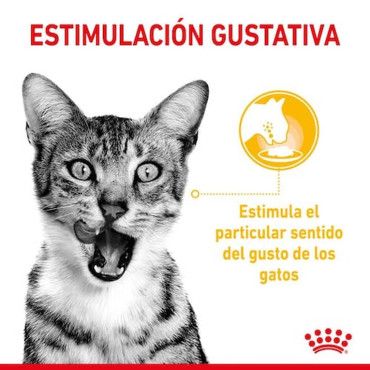 ROYAL CANIN SENSORY TASTE GRAVY POUCH FELINO