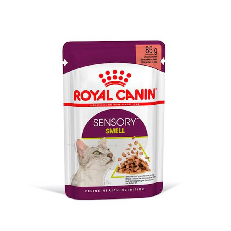 ROYAL CANIN SENSORY SMELL GRAVY POUCH FELINO