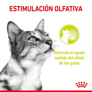 ROYAL CANIN SENSORY SMELL GRAVY POUCH FELINO