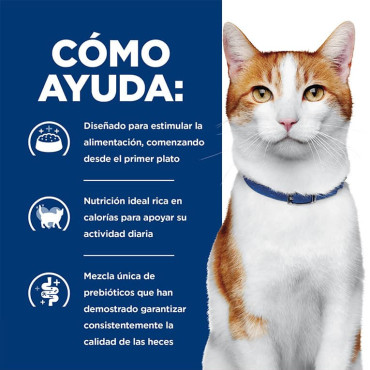HILL´S PRESCRIPTION DIET ONC CARE FELINO