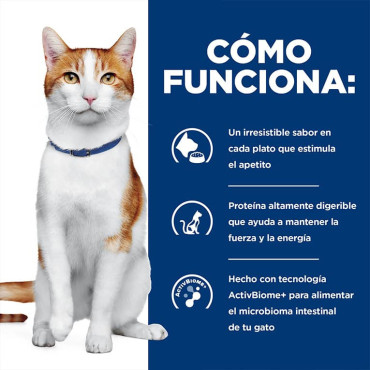 HILL´S PRESCRIPTION DIET ONC CARE FELINO