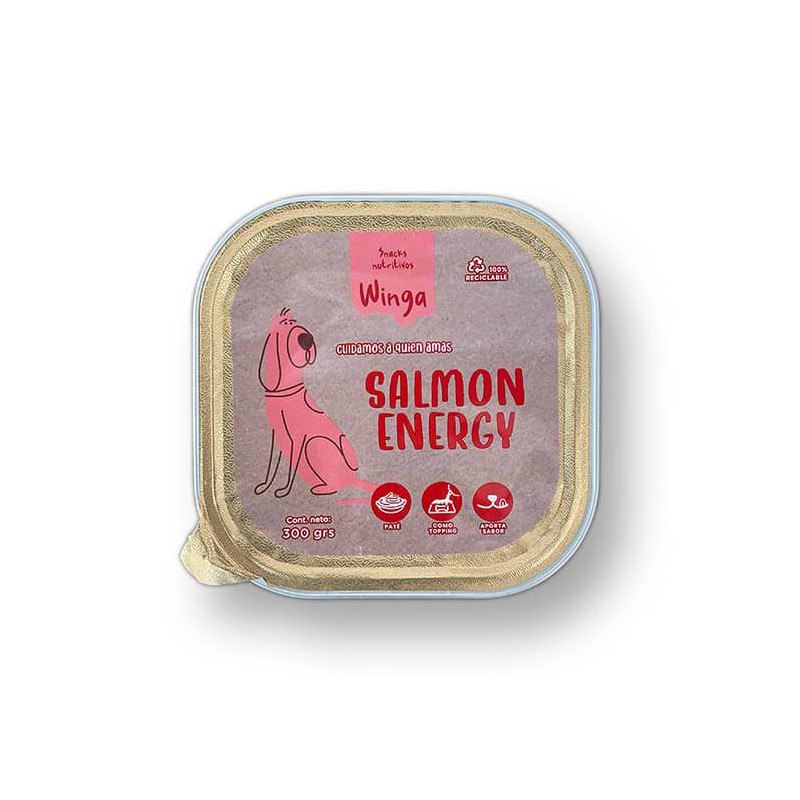 WINGA SALMON ENERGY