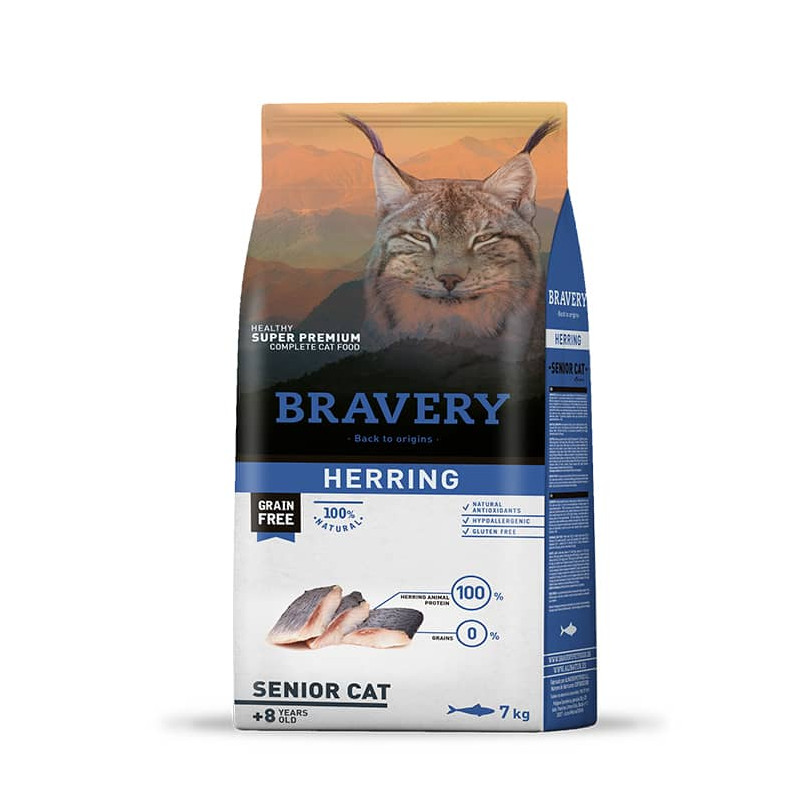 BRAVERY - HERRING SENIOR CAT