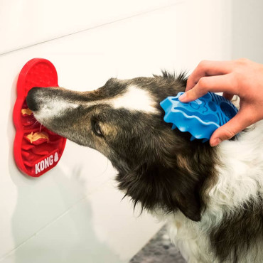 KONG LICKS SM
