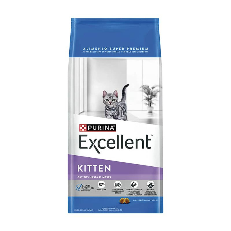 EXCELLENT KITTEN