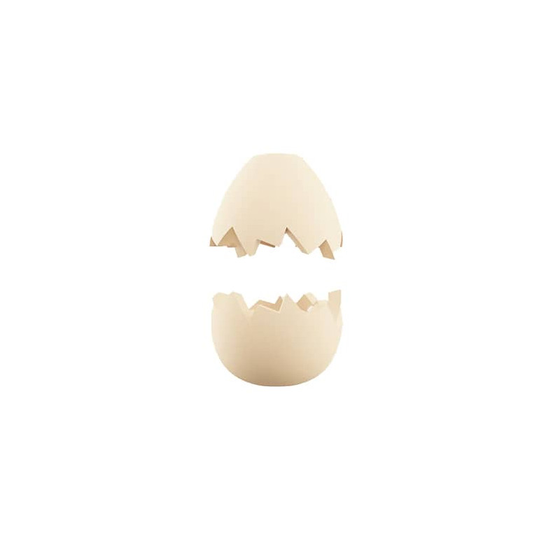 ZEE.PINZ EGG