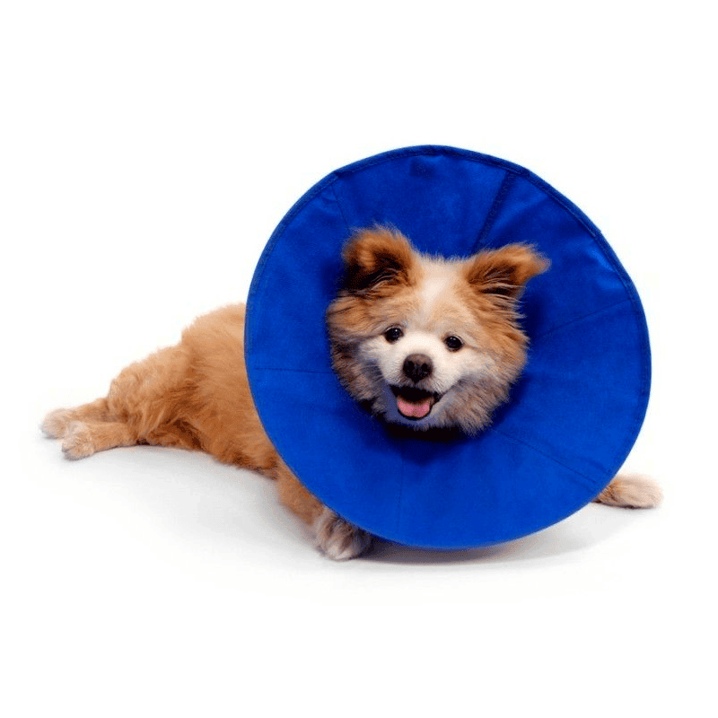 KONG COLLAR ISABELINO EZ SOFT