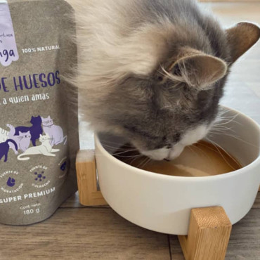 WINGA CALDO DE HUESOS GATOS