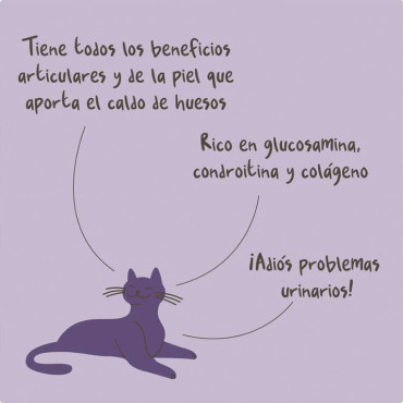 WINGA CALDO DE HUESOS GATOS
