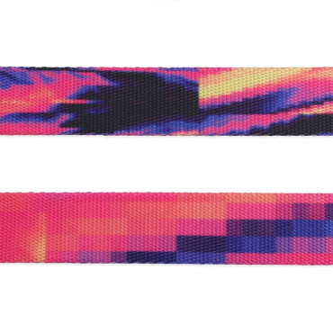 ZEE.DOG GLITCH ERROR #500 DOG LEASH