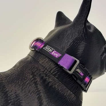 VITALFUN COLLAR MINIMAL BLACK