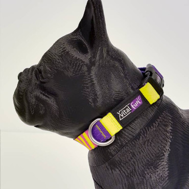 VITALFUN COLLAR POP ART