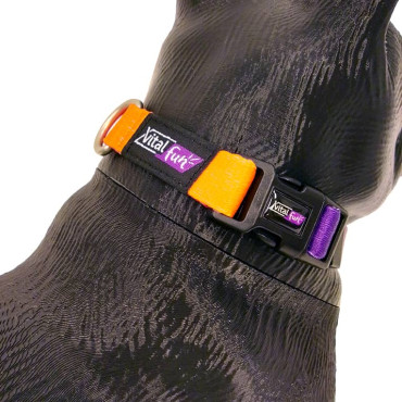VITALFUN COLLAR GEO FLUO