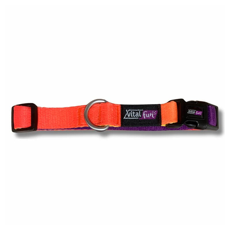 VITALFUN COLLAR GEO FLUO