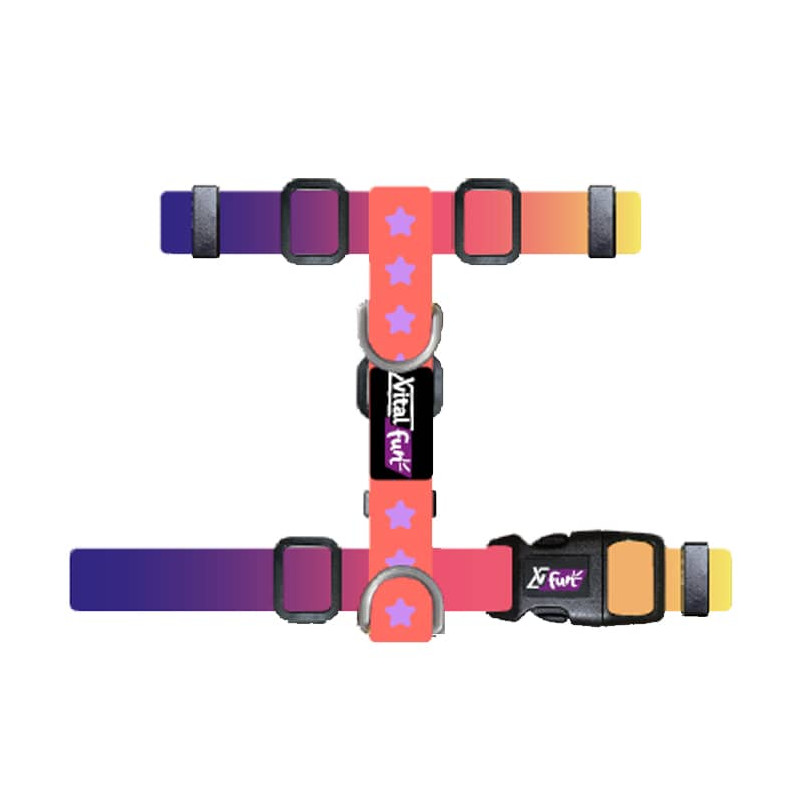 VITALFUN ANÉS H GEO FLUO