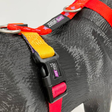 VITALFUN ANÉS H GEO FLUO