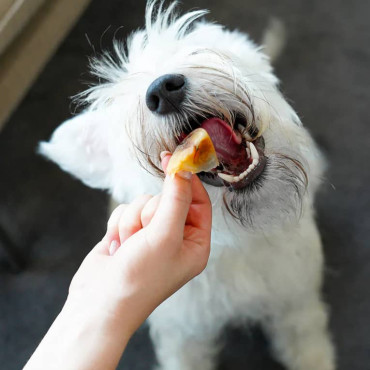 BARKER LONG LASTING SNACKS CASQUITOS DE CERDO