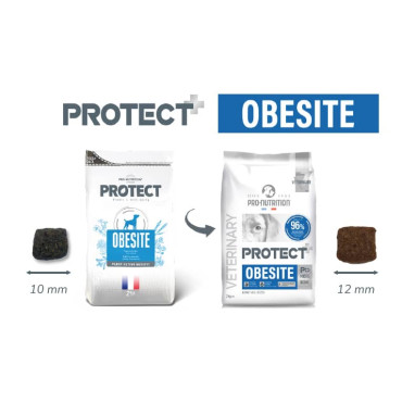 PRO NUTRITION PROTECT OBESITE CANINO