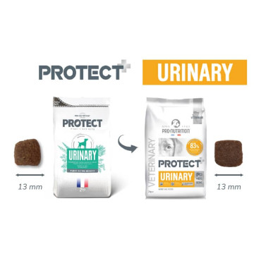 PRO NUTRITION PROTECT URINARY CANINO