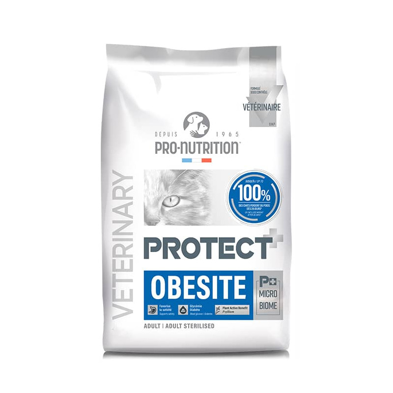 PRO NUTRITION PROTECT OBESITE FELINO