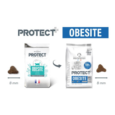 PRO NUTRITION PROTECT OBESITE FELINO