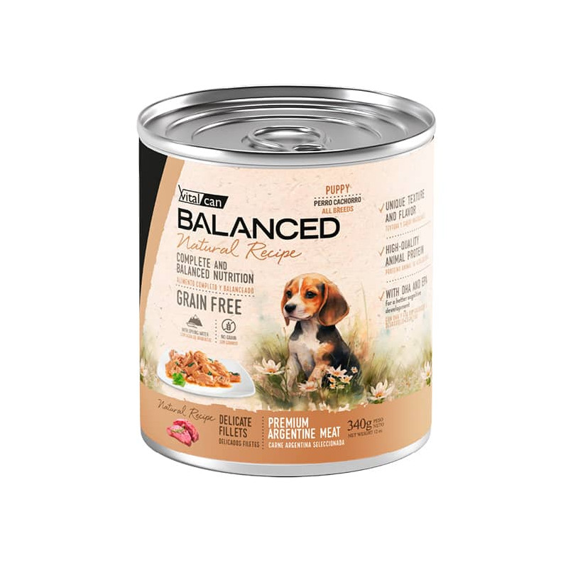 BALANCED NATURAL RECIPE DELICADOS FILETES CARNE - CACHORRO