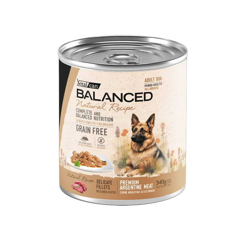 BALANCED NATURAL RECIPE DELICADOS FILETES CARNE - ADULTO
