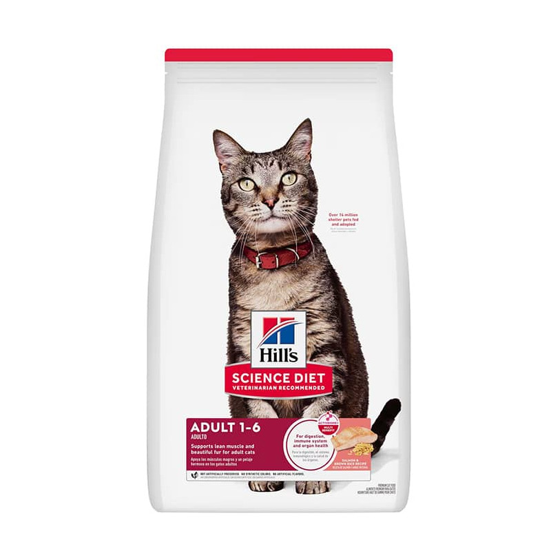 HILL´S SCIENCE DIET ADULT SALMON & RICE FELINO