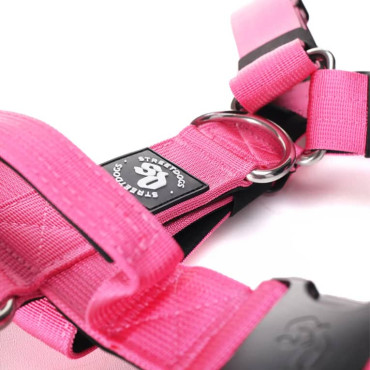 STREETDOGS ARN&Eacute;S STRAP - PINK