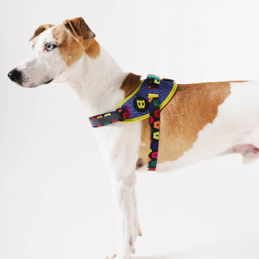 ZEE.DOG FARM RIO SAMBA FLYHARNESS