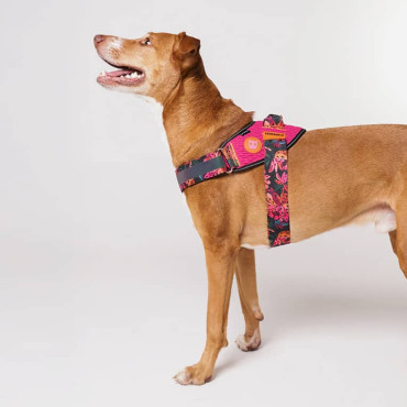 ZEE.DOG FARM RIO SELVA FLYHARNESS