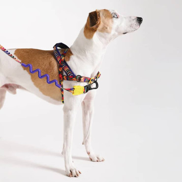 ZEE.DOG FARM RIO SAMBA SOFT-WALK DOG HARNESS