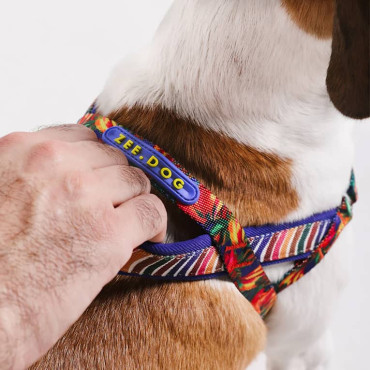 ZEE.DOG FARM RIO SAMBA SOFT-WALK DOG HARNESS
