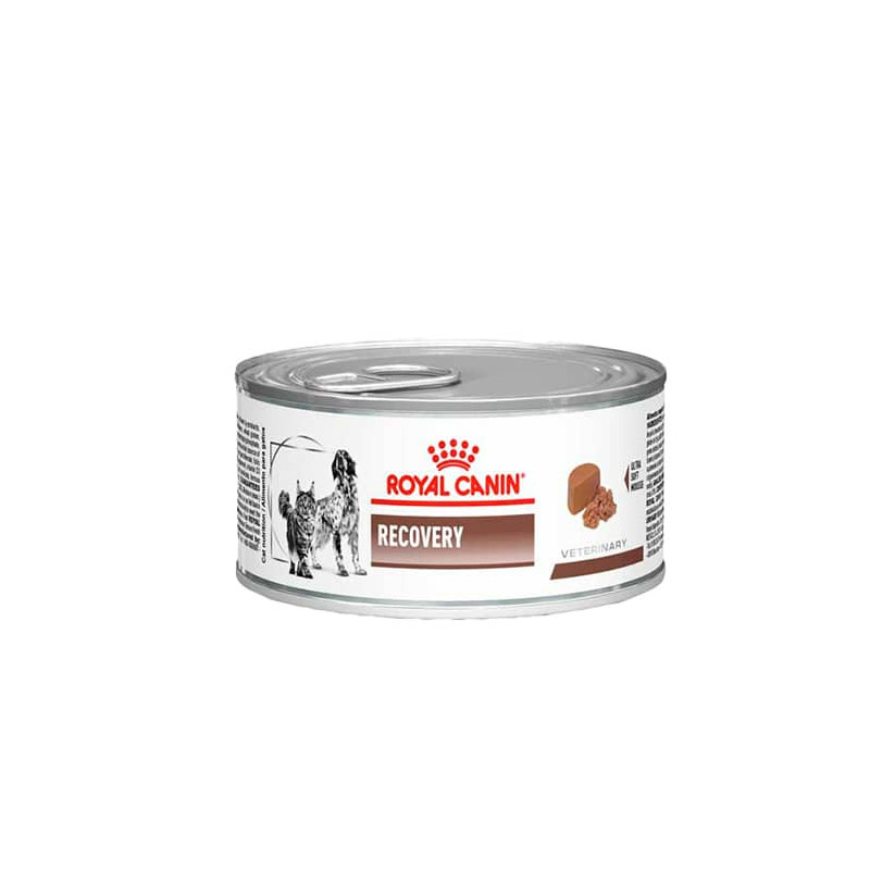 ROYAL CANIN RECOVERY LATA GATOS/PERROS