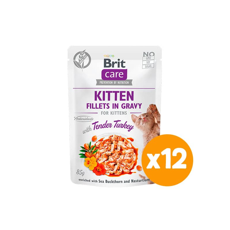BRIT CARE CAT KITTEN FILLETS IN GRAVY WITH TENDER TURKEY POUCH - PACK 12