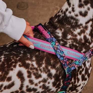 ZEE.DOG REEBOK AEROBIC SOFTER-WALK HARNESS