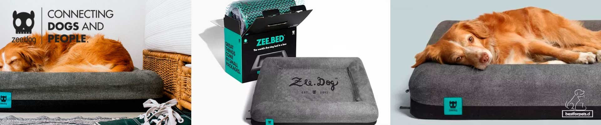 Zee.Dog Beds & Zee.Mat