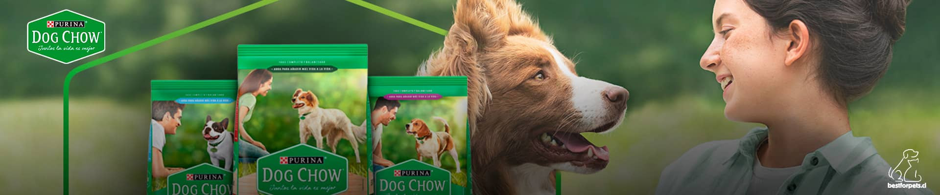 Alimentos DOG CHOW para perros