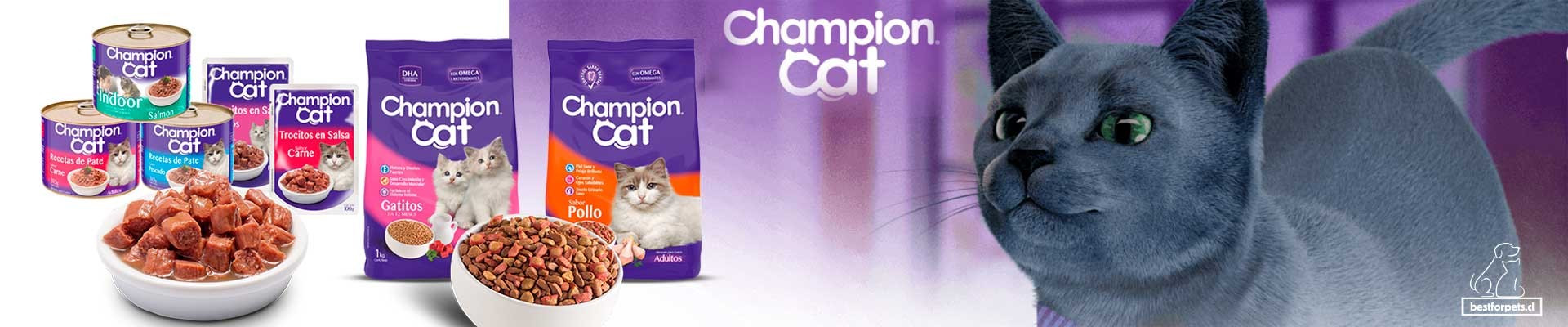 Alimentos Champion para gatos