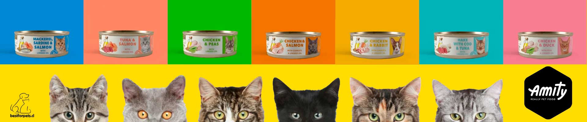 Alimentos Amity para gatos
