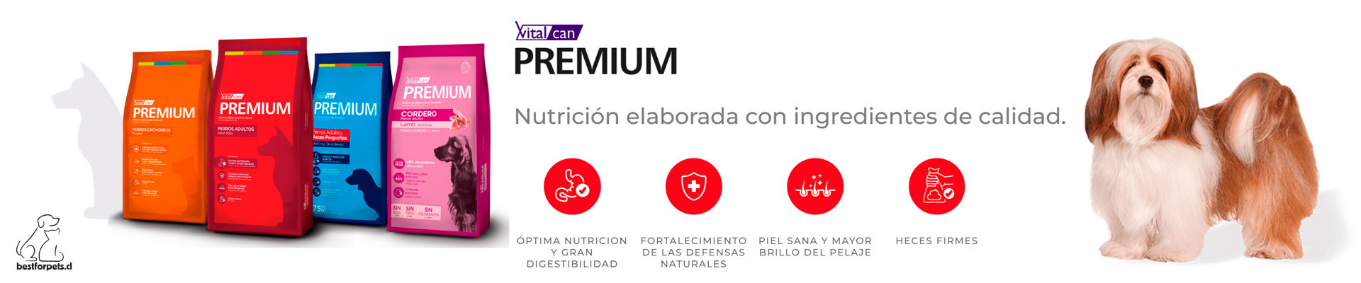 VITALCAN PREMIUM - alimentos para perros
