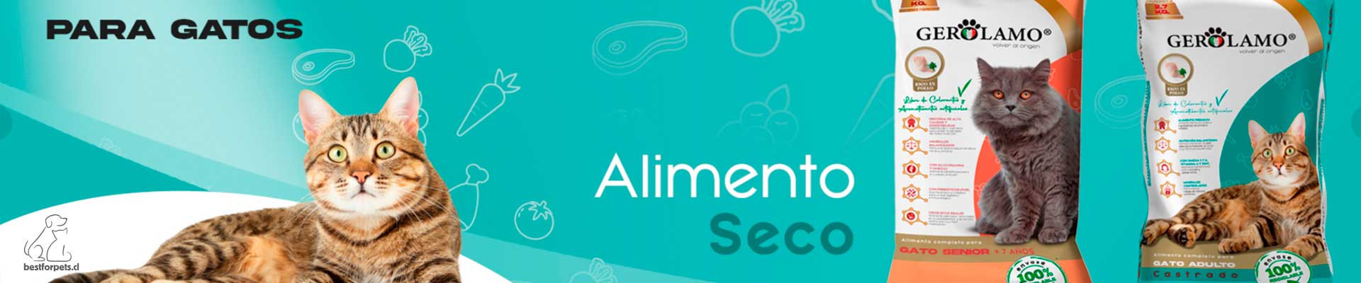 Alimentos Gerolamo para gatos