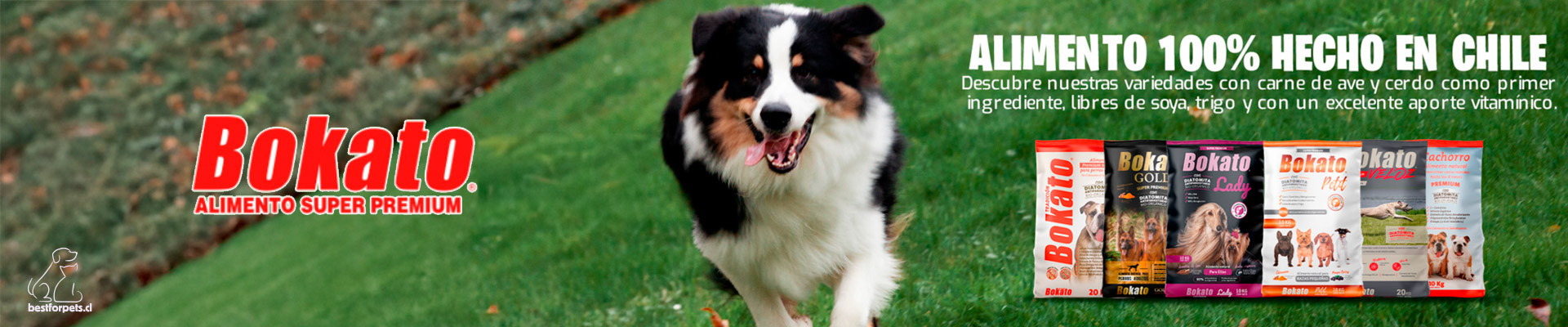Alimentos BOKATO para perros