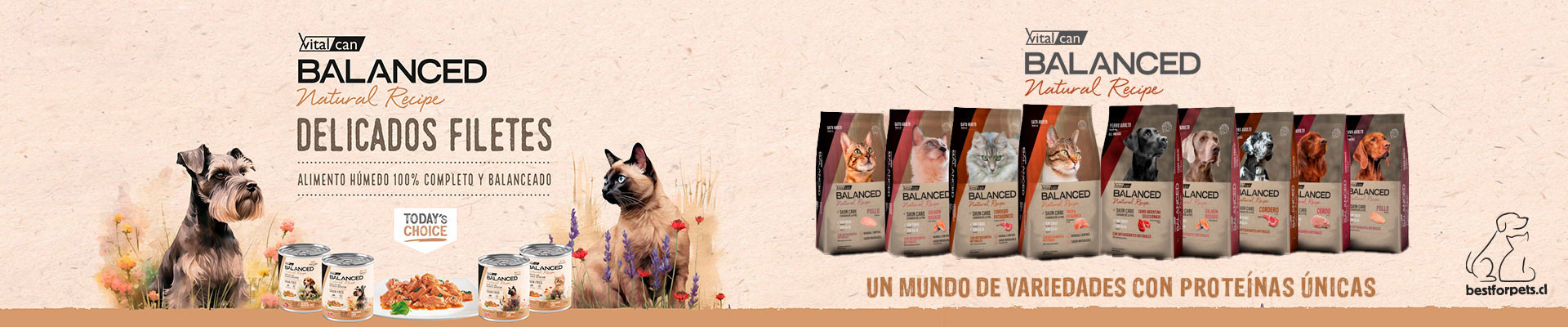 Balanced Natural Recipe | Alimentos monoproteicos para gatos