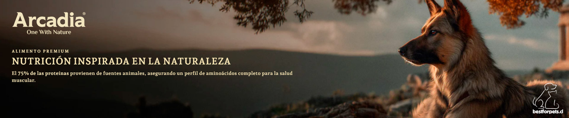 Arcadia Chile | Alimento Natural para Perros Adultos y Cachorros