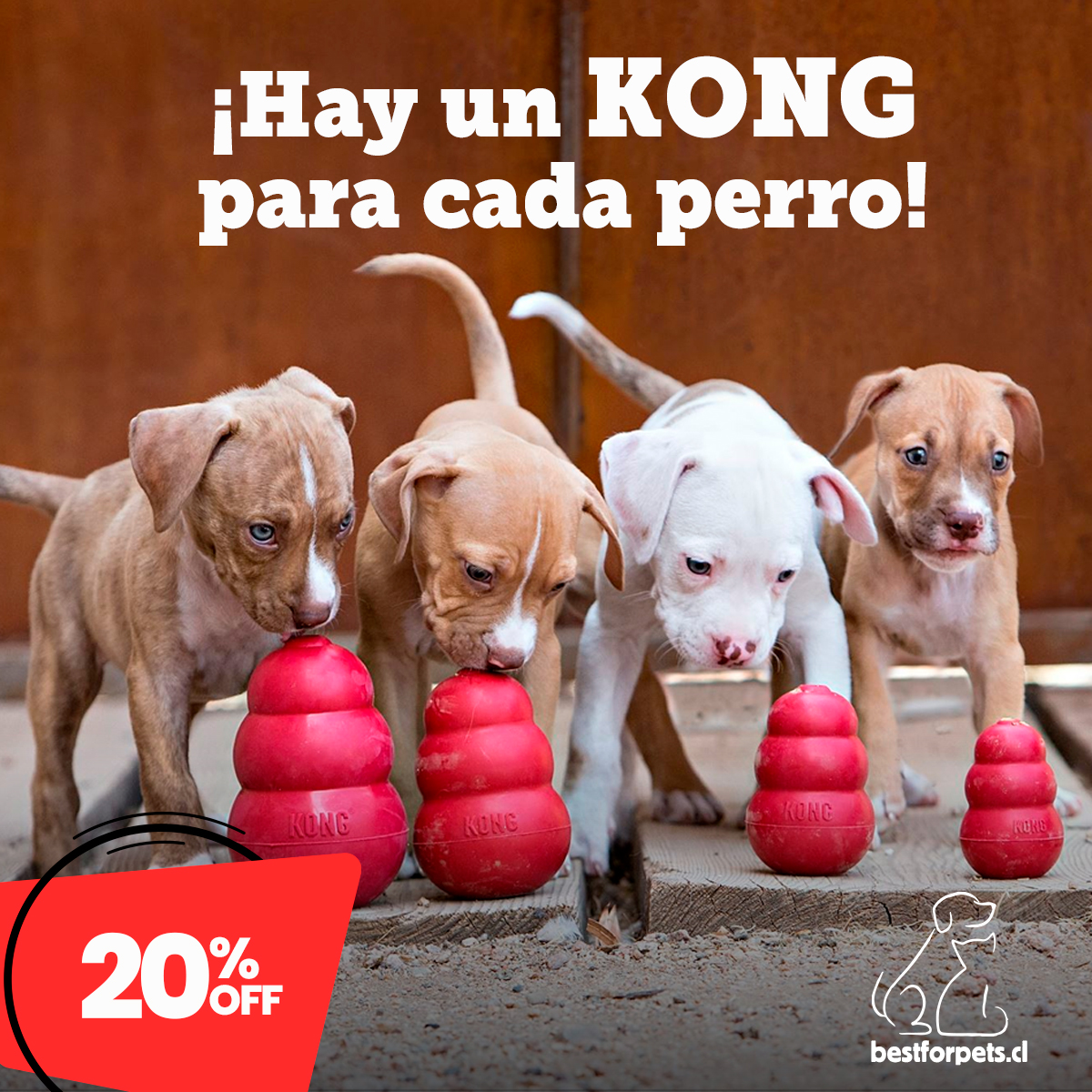 20% de descuento en  Juguetes KONG | Best for Pets